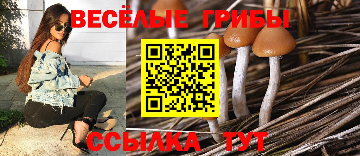 купить  цена  Псилоцибиновые грибы прущие грибы  Вход с VPN  Богородицк 