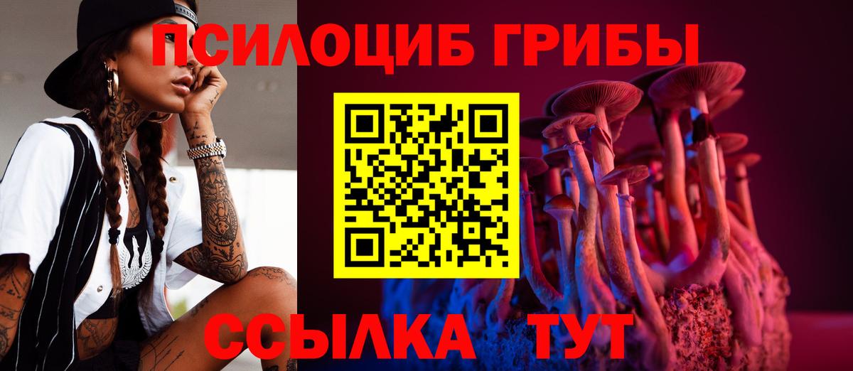 Галлюциногенные грибы Psilocybe Богородицк