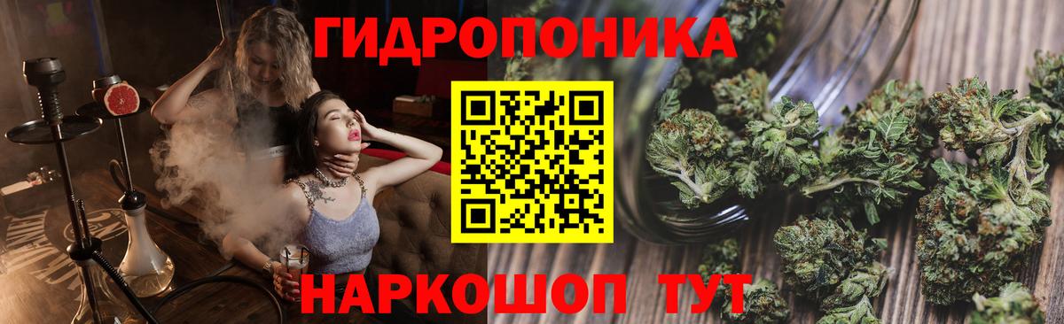 Шишки марихуана конопля  Марихуана план  Вход с VPN  Конопля AK-47  Богородицк 